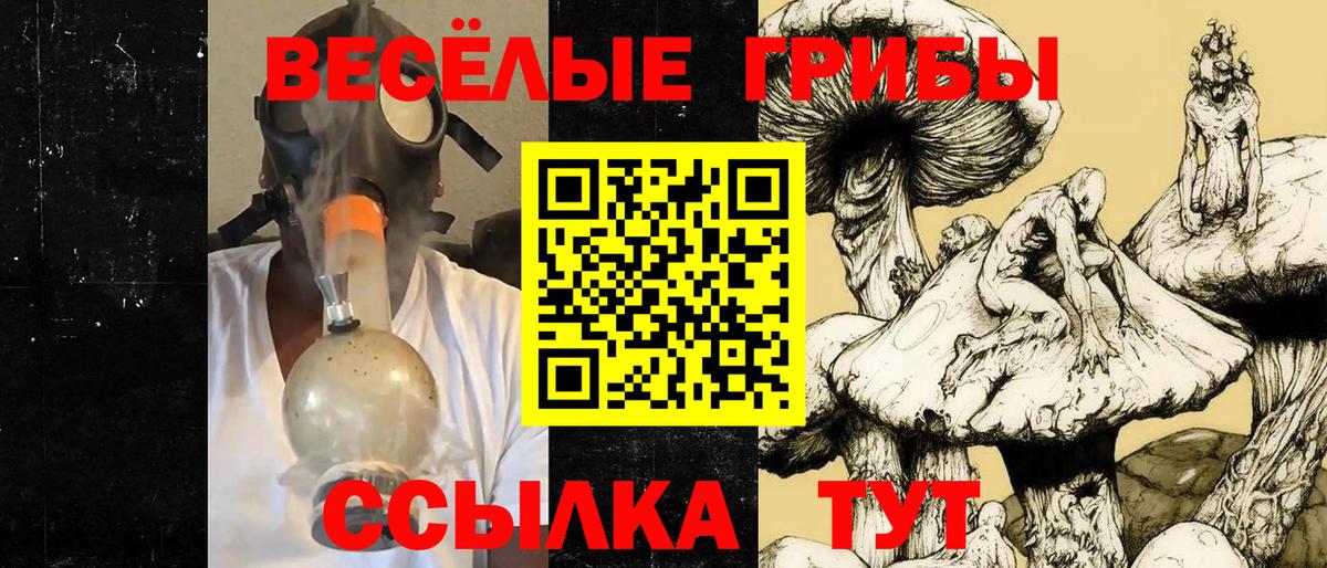 Галлюциногенные грибы мухоморы  Вход с VPN  Сланцы 
