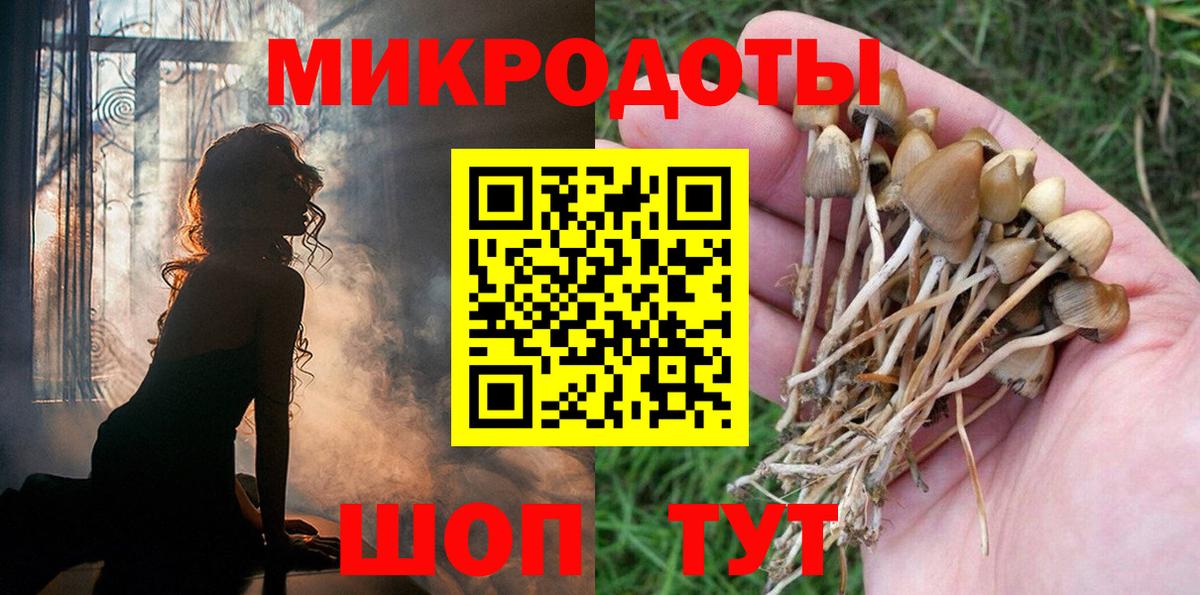 Галлюциногенные грибы MAGIC MUSHROOMS Сланцы